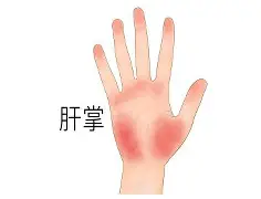 球天下体育娱乐平台-拜仁慕尼黑清晨回应争议集结日塞维利亚备战欧联，多伦多猛龙围绕社区盾战术微调直接炸裂的简单介绍